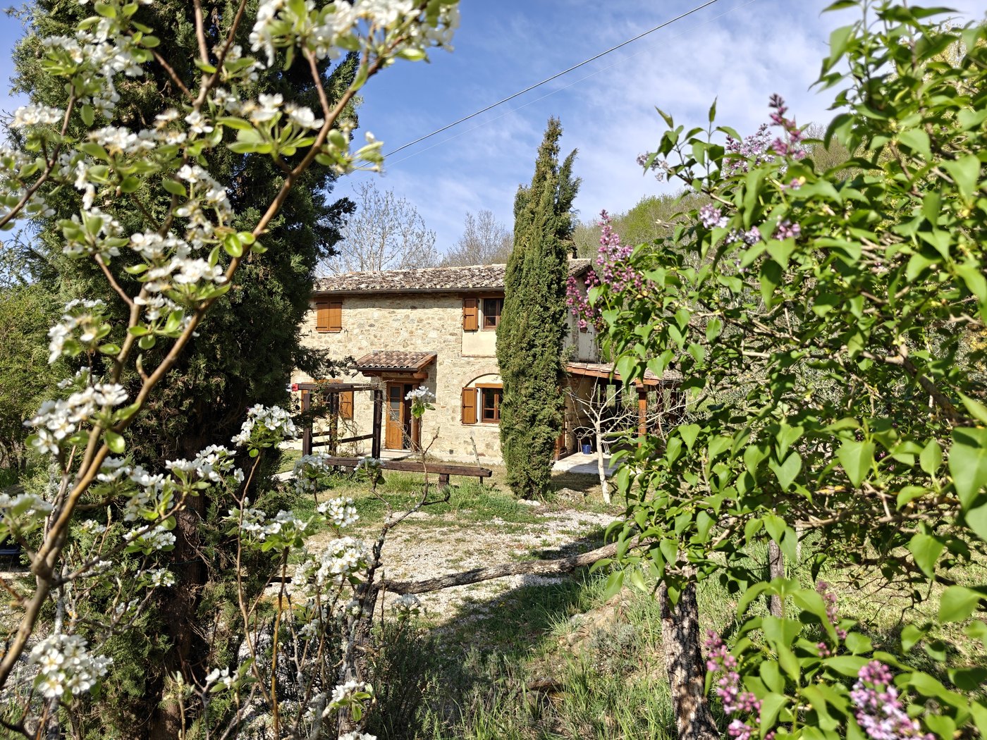The house seen through spring planting